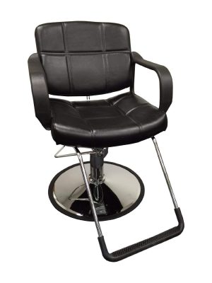  10. D Salon Hydraulic Stylist Chair 